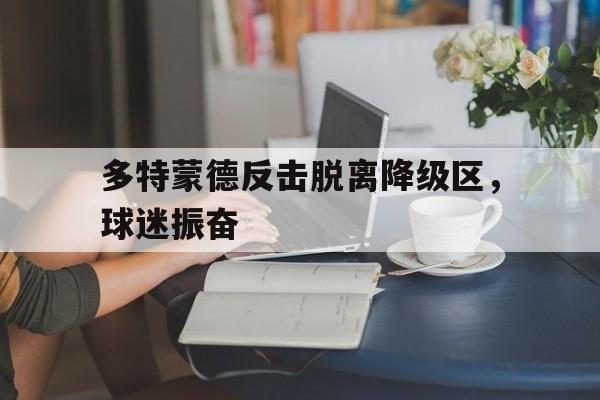 多特蒙德反击脱离降级区，球迷振奋的简单介绍