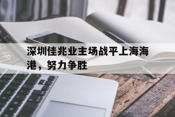 深圳佳兆业主场战平上海海港，努力争胜的简单介绍