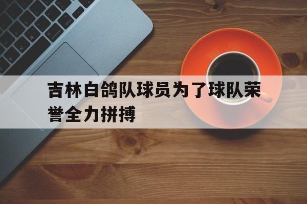 吉林白鸽队球员为了球队荣誉全力拼搏的简单介绍