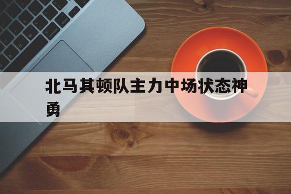 北马其顿队主力中场状态神勇的简单介绍